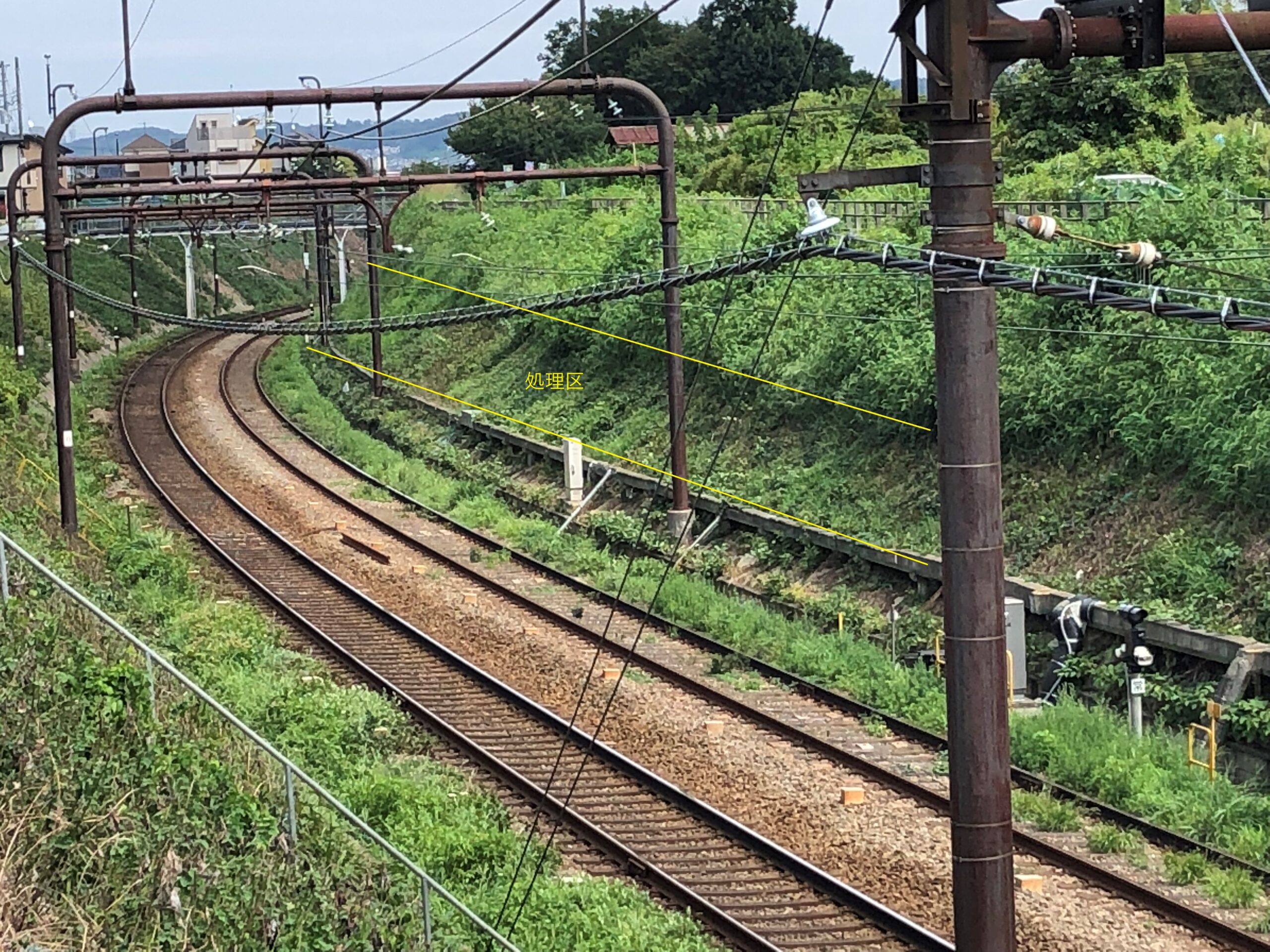 抑草剤による発芽と成長の抑制